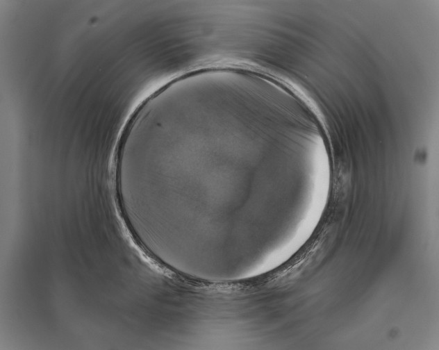 X0000094811053200712141618