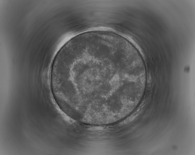 X0000094811054200712141618