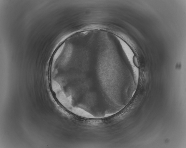 X0000094811055200712141618