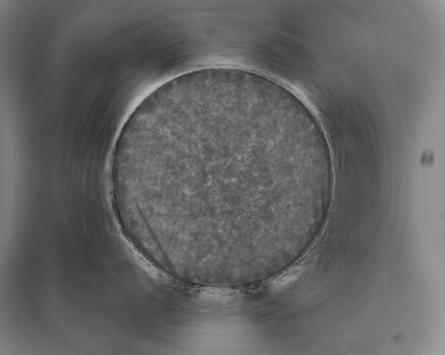 X0000094811056200712141618