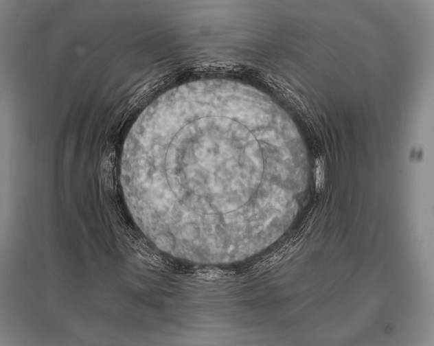 X0000094811059200712141617