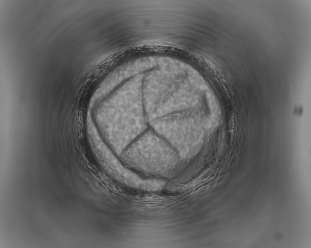 X0000094811062200712141617