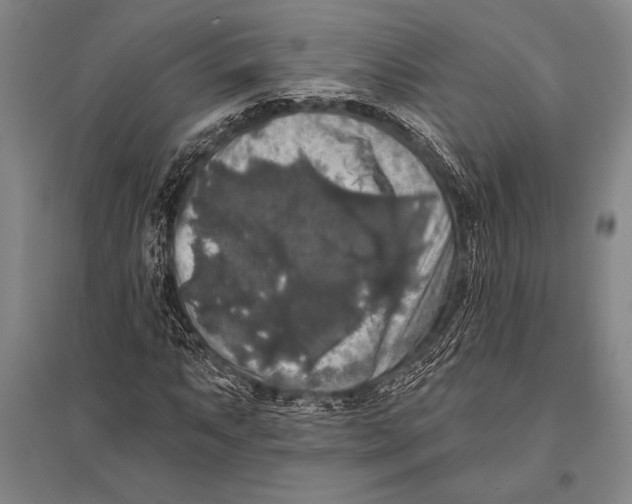 X0000094811063200712141617