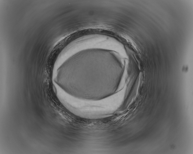 X0000094811064200712141617