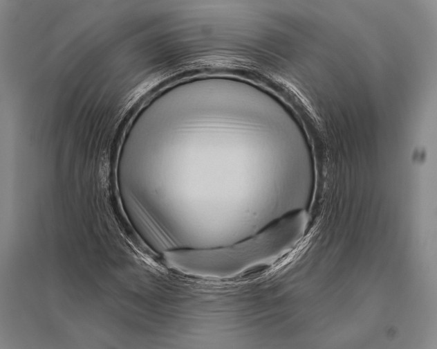 X0000094811065200712141617