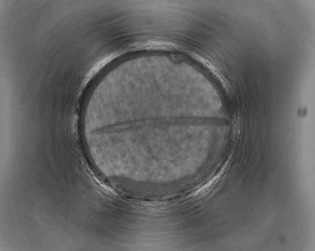 X0000094811066200712141617