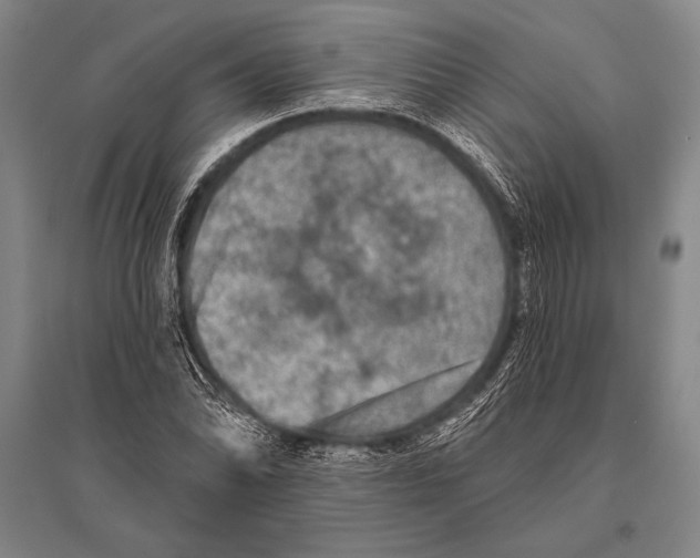 X0000094811070200712141617