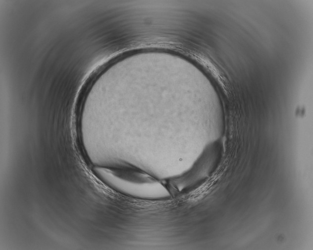 X0000094811072200712141617