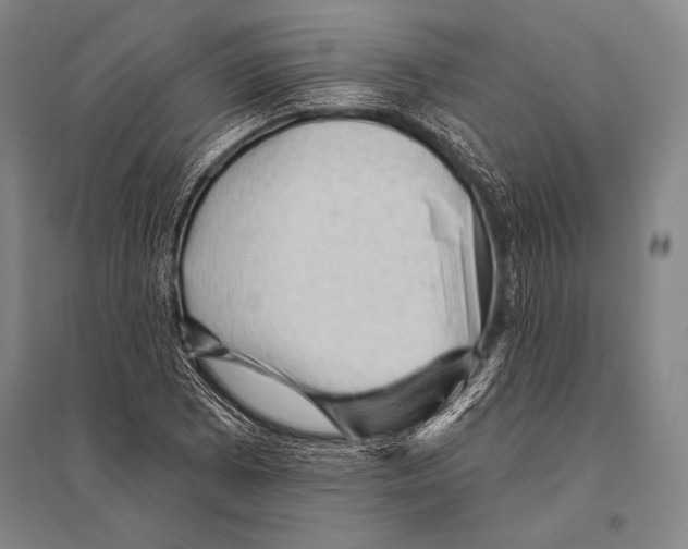 X0000094811073200712141617