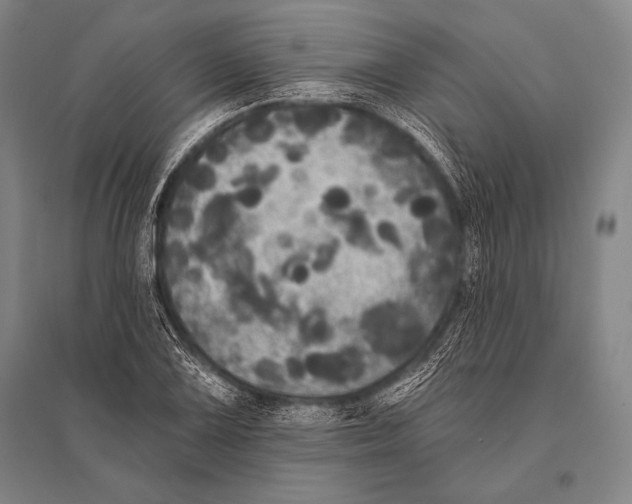 X0000094811075200712141617