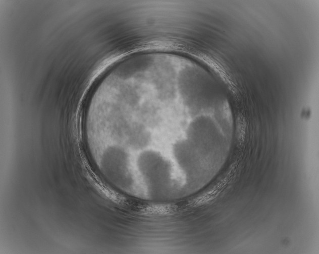 X0000094811078200712141617