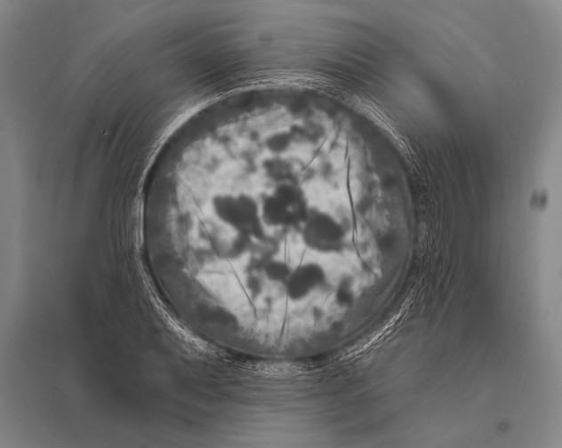 X0000094811079200712141617