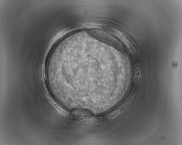 X0000094811080200712141617