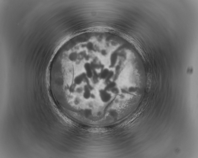 X0000094811083200712141616