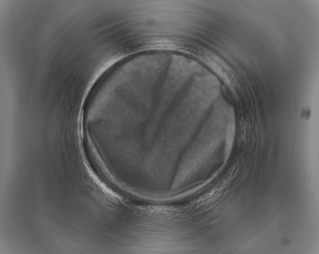 X0000094811084200712141616