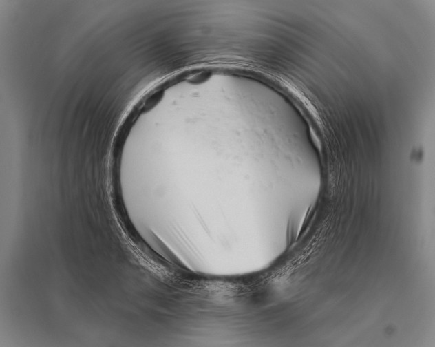 X0000094811085200712141616