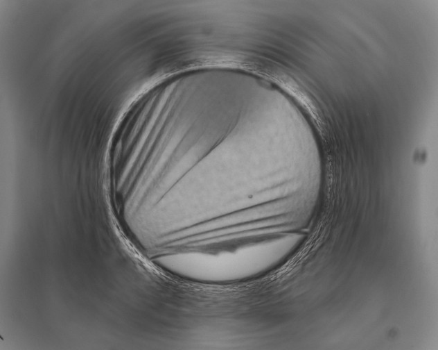 X0000094811088200712141616