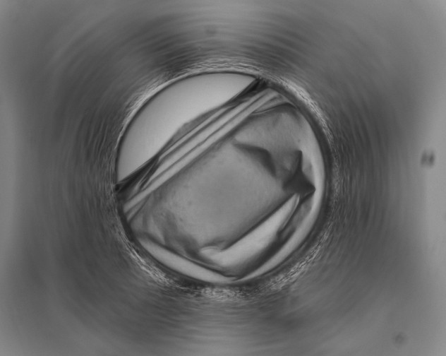 X0000094811089200712141616