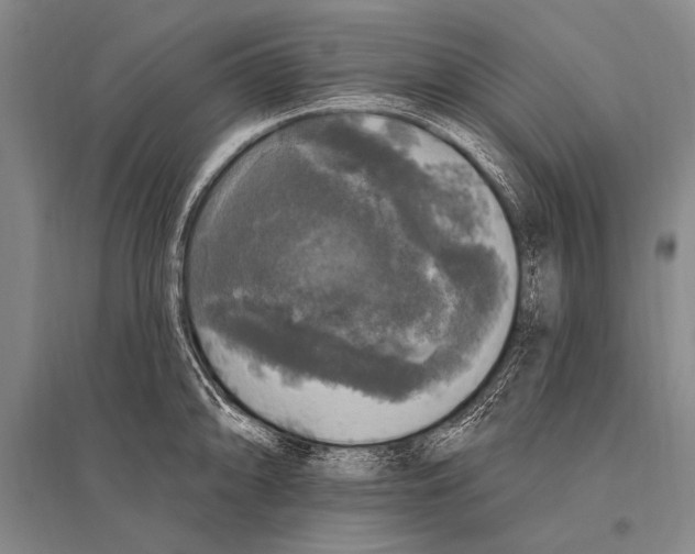 X0000094811094200712141616