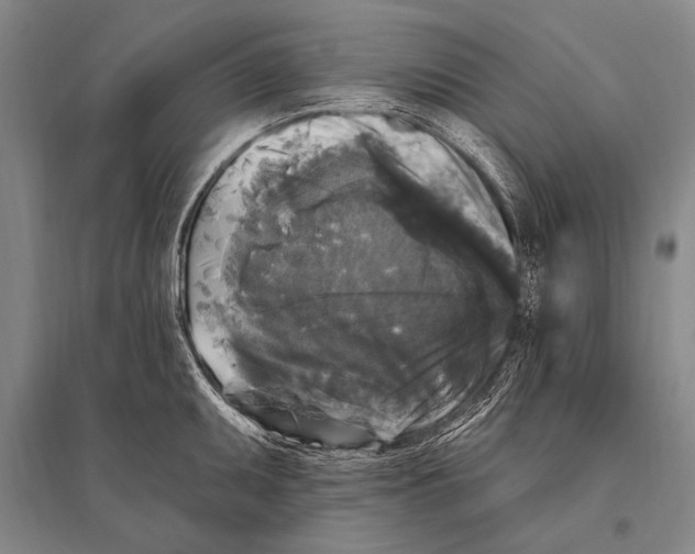 X0000094811095200712141616