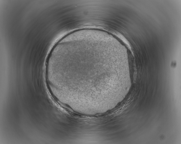 X0000094811096200712141616