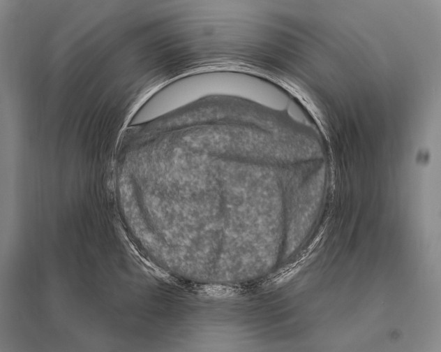 X0000094811097200712141616