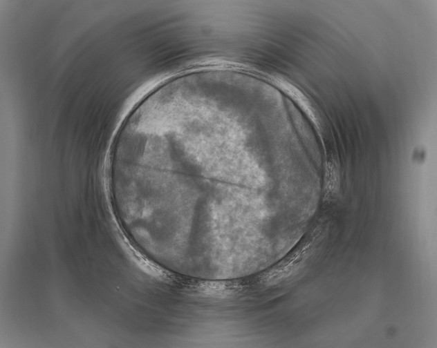 X0000094811098200712141616