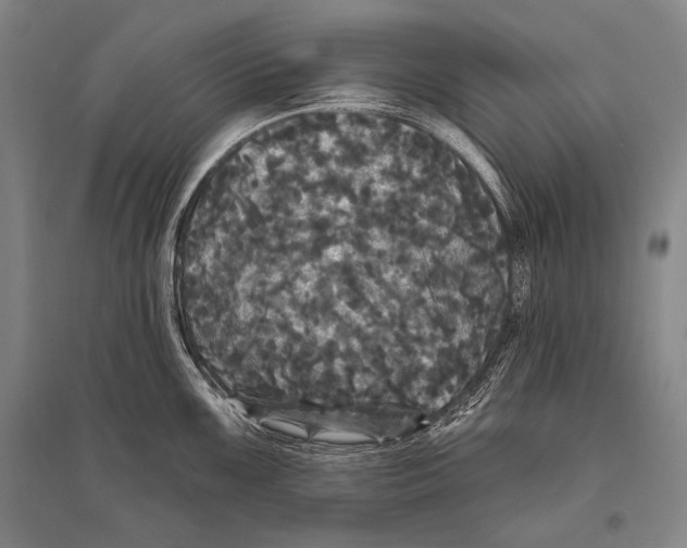 X0000094811099200712141616