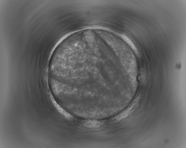 X0000094811100200712141616