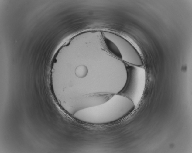 X0000094811101200712141616