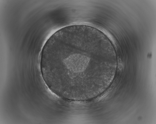 X0000094811102200712141616