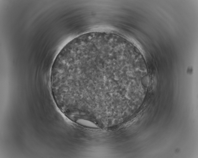 X0000094811103200712141616