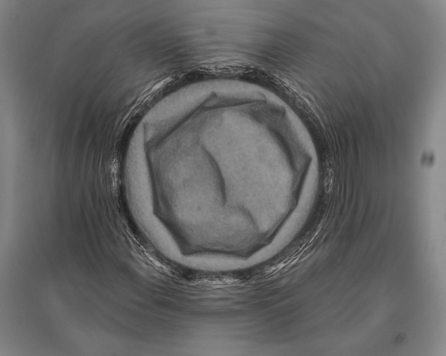 X0000094811108200712141616