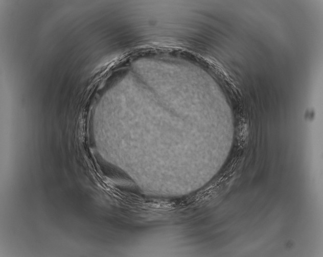 X0000094811110200712141616