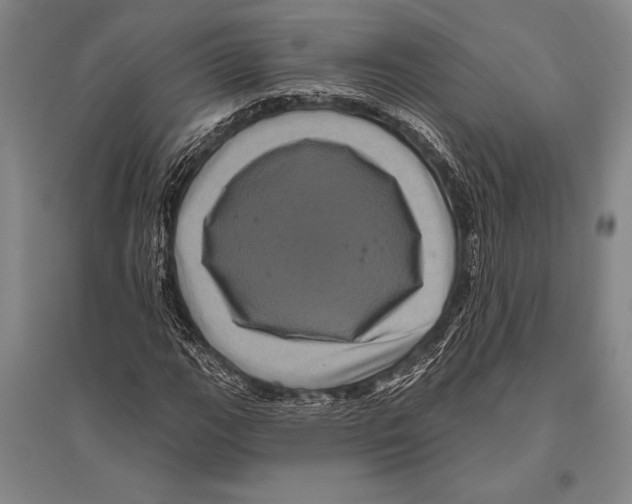 X0000094811111200712141616