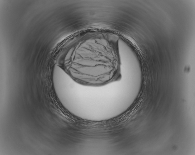 X0000094811112200712141616