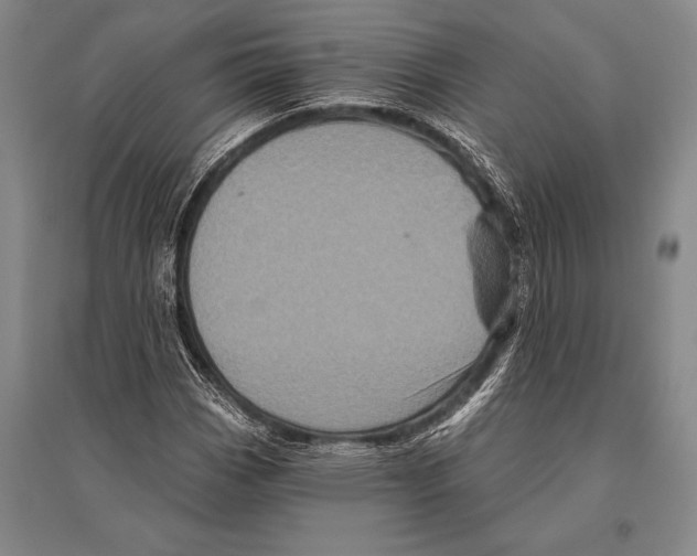 X0000094811113200712141616