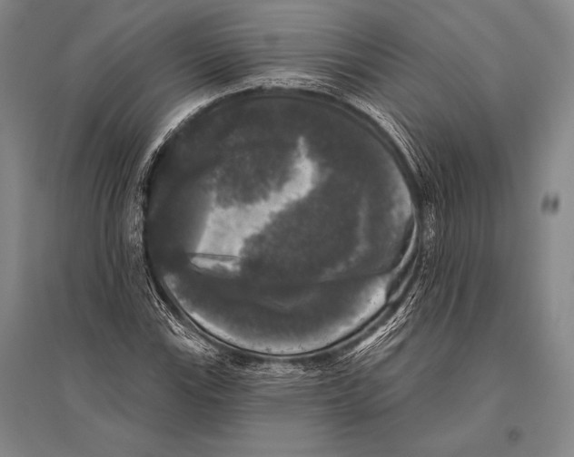 X0000094811115200712141616