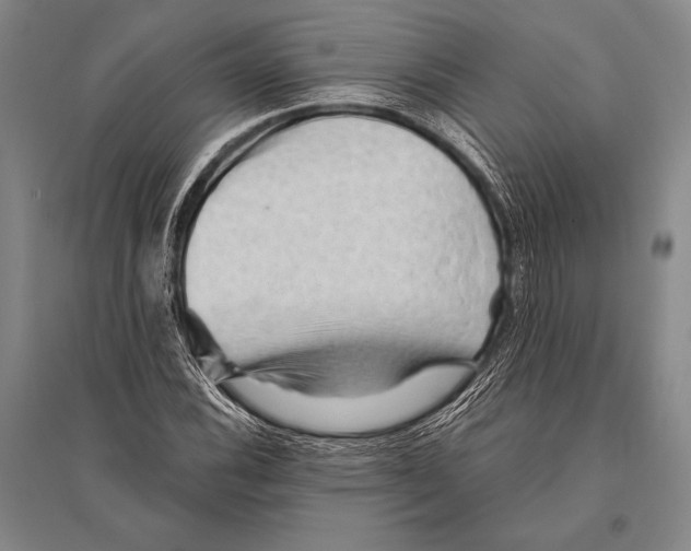 X0000094811116200712141616