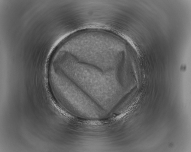 X0000094811120200712141616