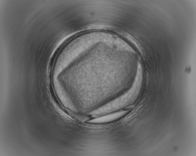 X0000094811124200712141616