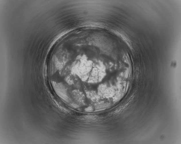 X0000094811125200712141616