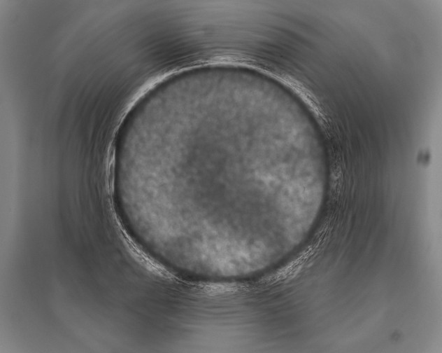 X0000094811126200712141616