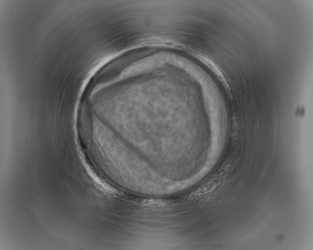 X0000094811128200712141616