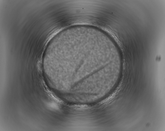 X0000094811129200712141616