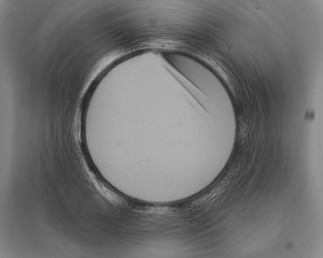 X0000094811131200712141616