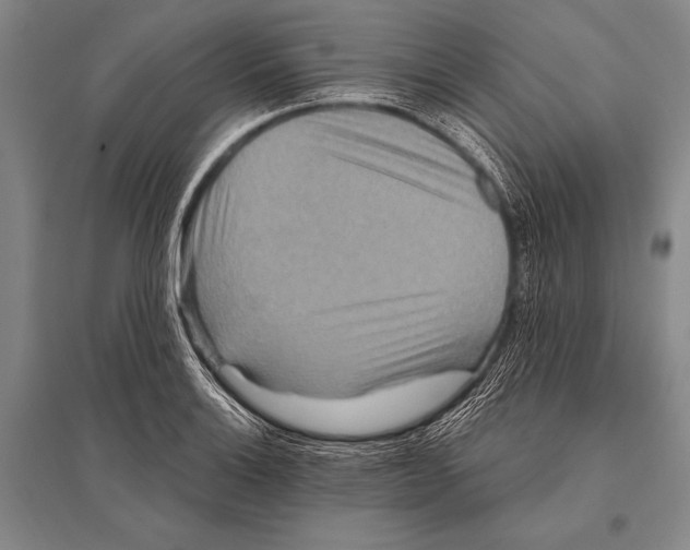 X0000094811132200712141616