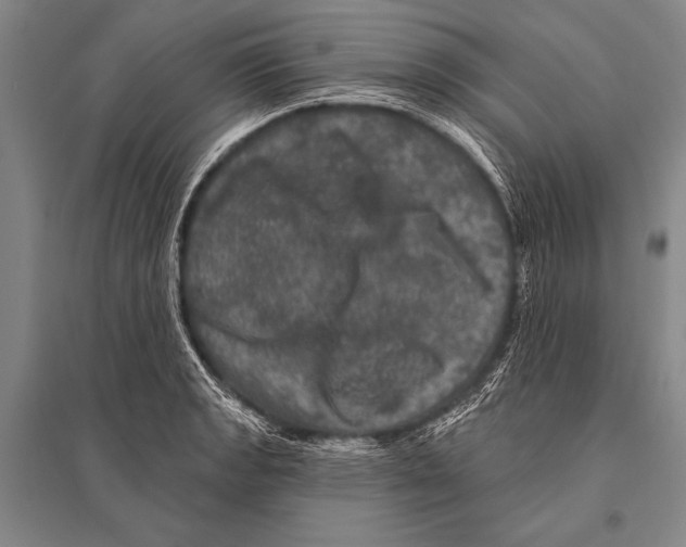 X0000094811133200712141616