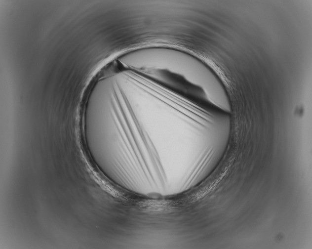 X0000094811134200712141616