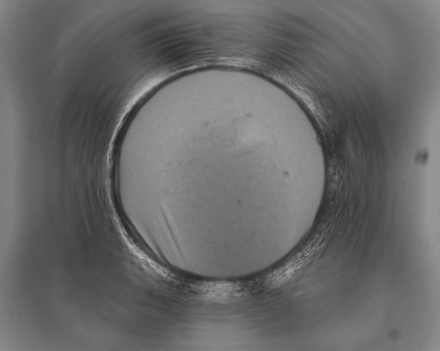 X0000094811135200712141616